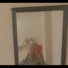 rahjae0502